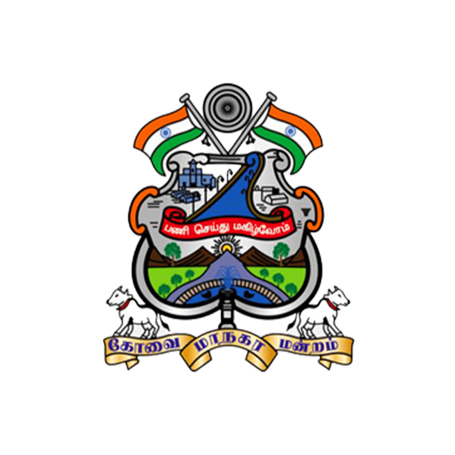 CCMC Logo